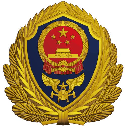 西藏自治区消防救援总队关于开展消防技术服务机构和消防职业资格证书专项检查工作的公告